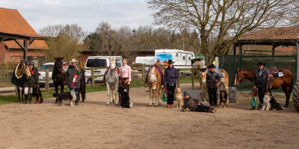 Zwischenstand der Niedersächsischen Horse and Dog Trail Trophy 2022