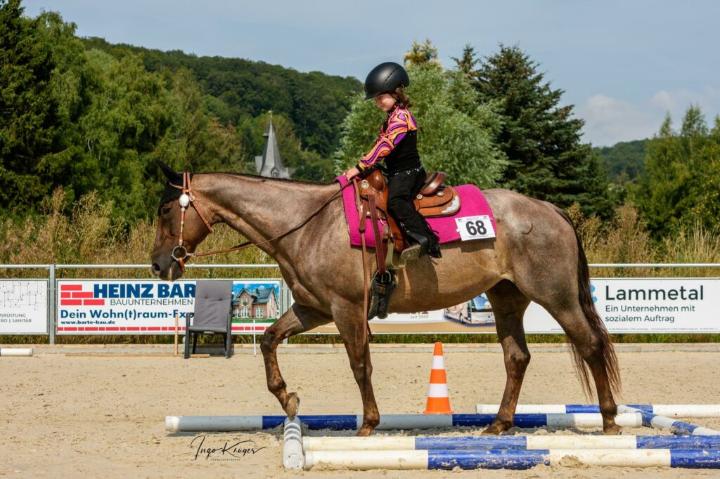 NEU! Walk Trott Niedersachsen Cup
